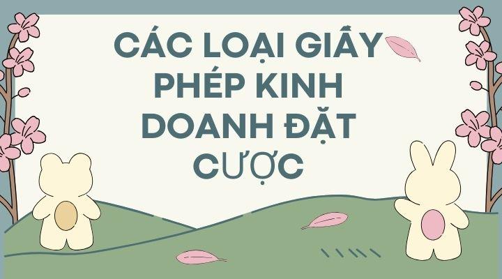 Các loại giấy phép Các loại giấy phép